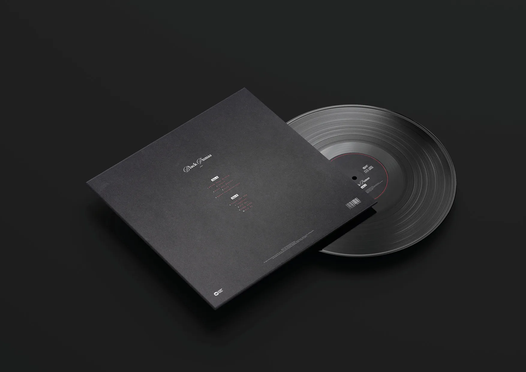 BLACK PUMAS — Visuel 6