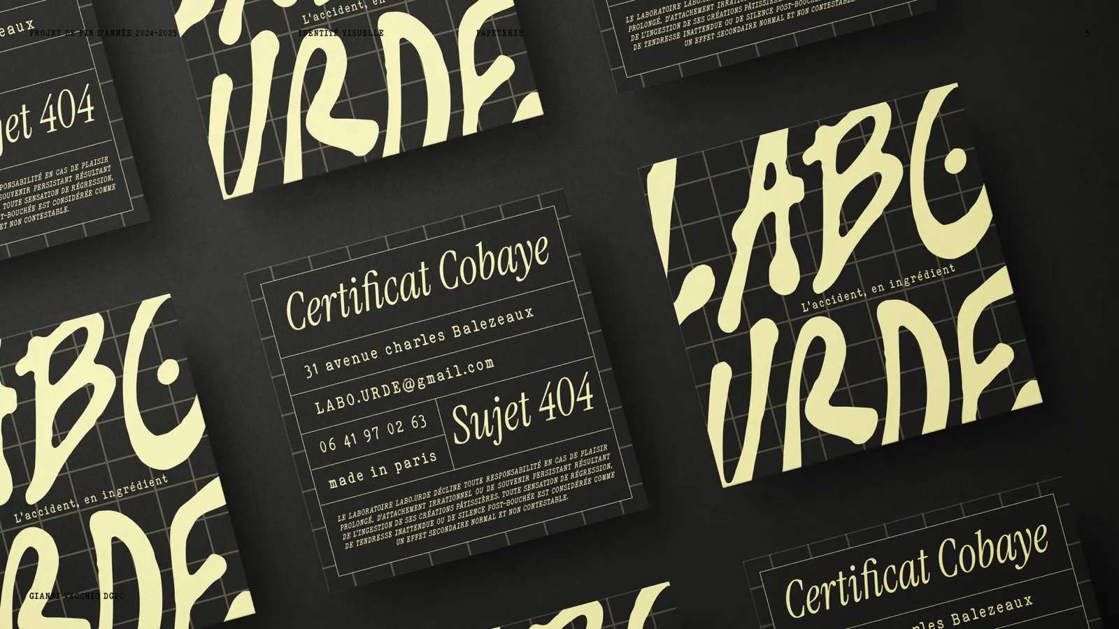Cartes de visite Certificat Cobaye sur fond noir