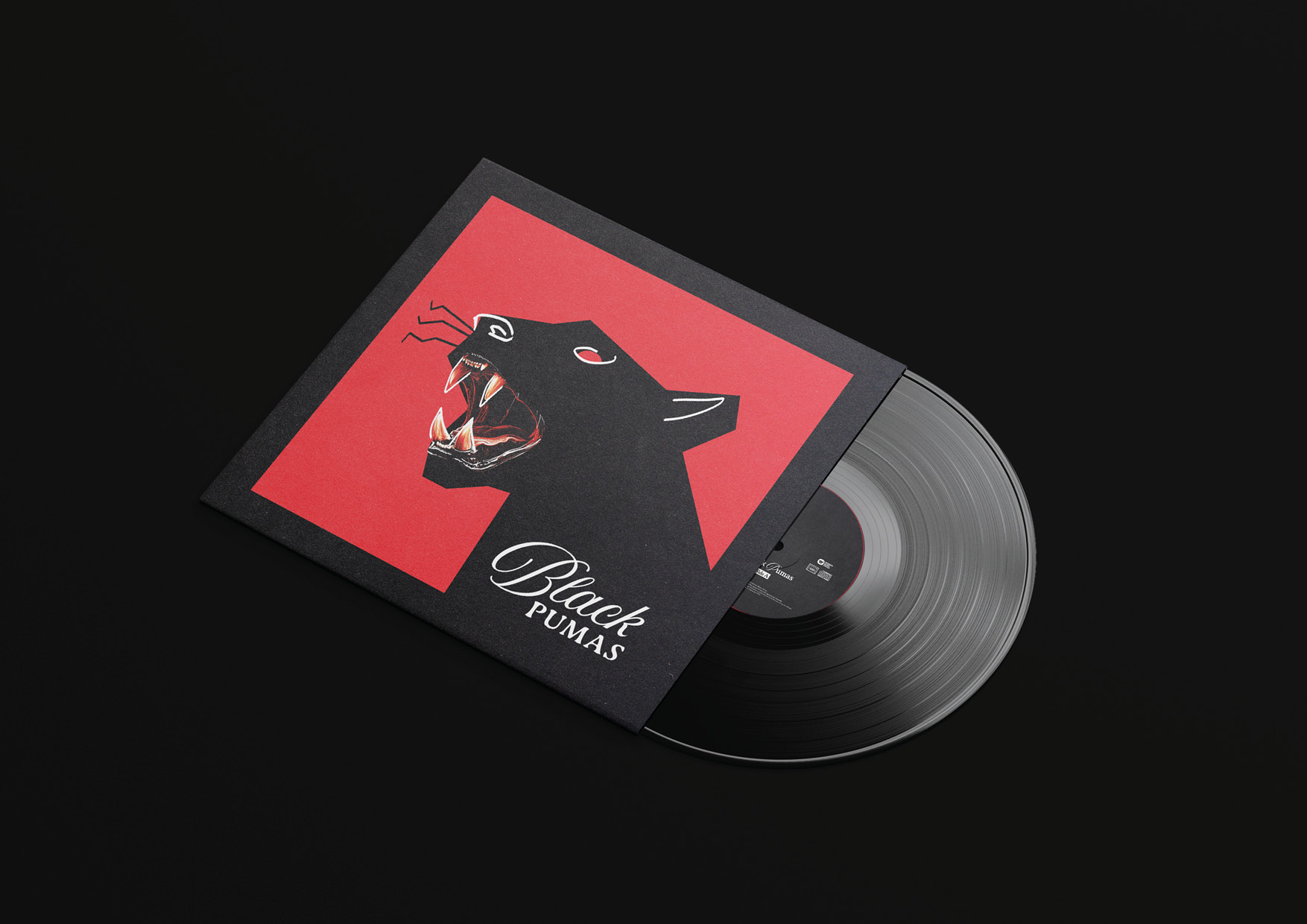 BLACK PUMAS — Visuel 5