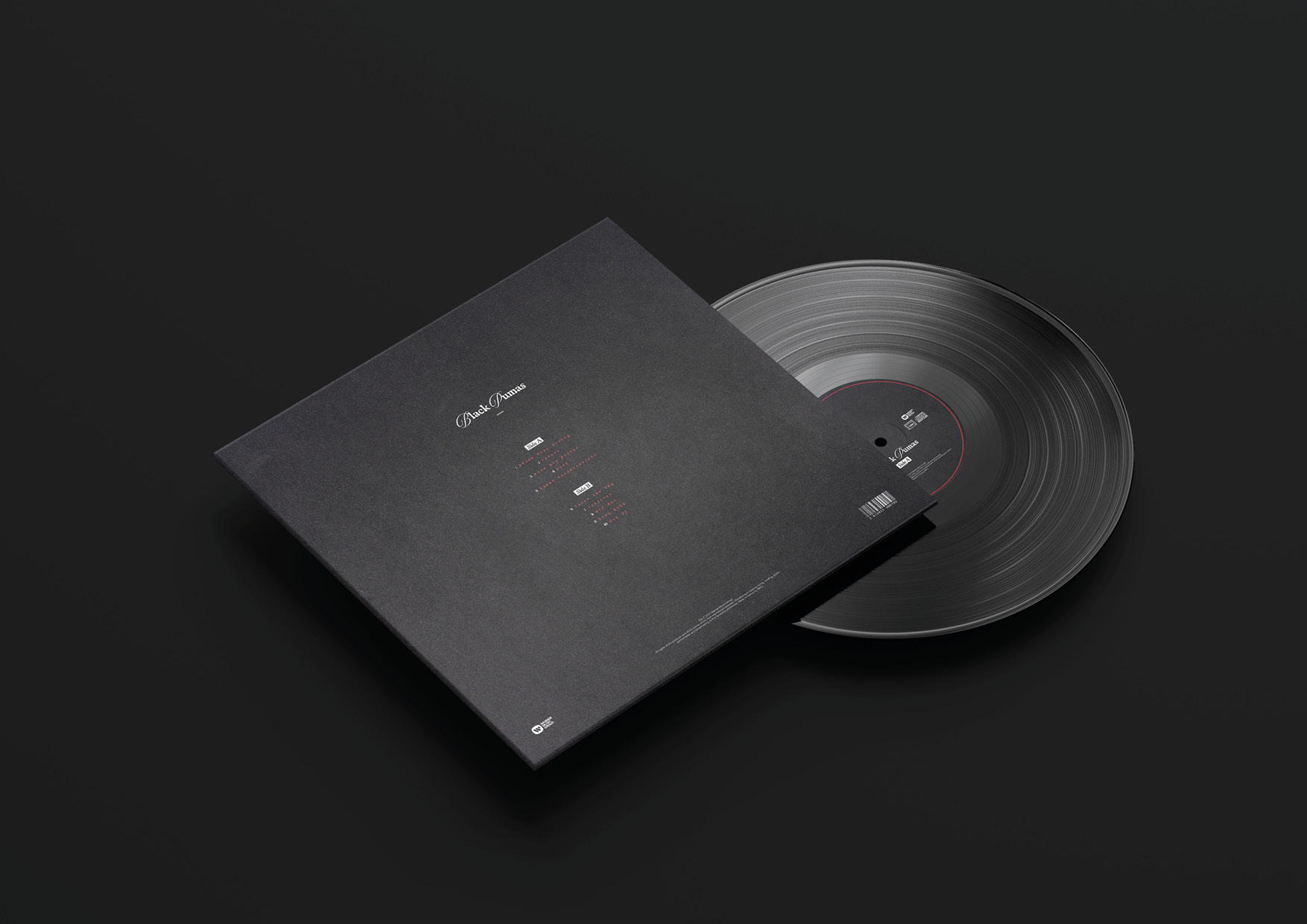 BLACK PUMAS — Visuel 6