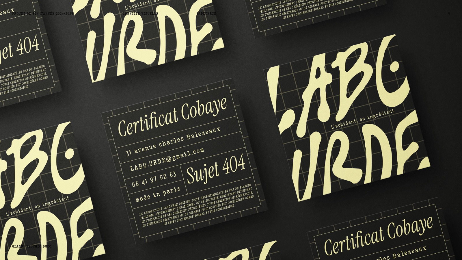 Cartes de visite Certificat Cobaye sur fond noir